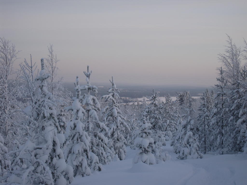 Arctic Circle Apartment Rovaniemi Buitenkant foto